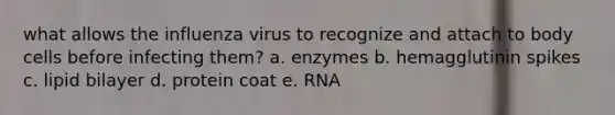 what allows the influenza virus to recognize and attach to body cells before infecting them? a. enzymes b. hemagglutinin spikes c. lipid bilayer d. protein coat e. RNA