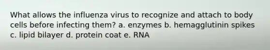 What allows the influenza virus to recognize and attach to body cells before infecting them? a. enzymes b. hemagglutinin spikes c. lipid bilayer d. protein coat e. RNA