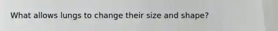 What allows lungs to change their size and shape?