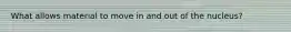 What allows material to move in and out of the nucleus?
