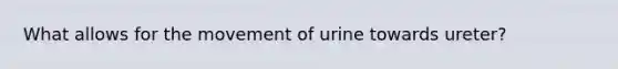 What allows for the movement of urine towards ureter?