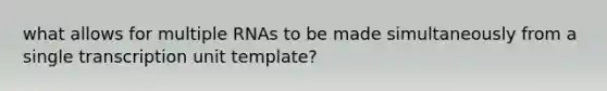 what allows for multiple RNAs to be made simultaneously from a single transcription unit template?