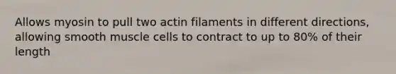 Allows myosin to pull two actin filaments in different directions, allowing smooth muscle cells to contract to up to 80% of their length