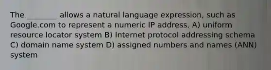 The ________ allows a natural language expression, such as Google.com to represent a numeric IP address. A) uniform resource locator system B) Internet protocol addressing schema C) domain name system D) assigned numbers and names (ANN) system