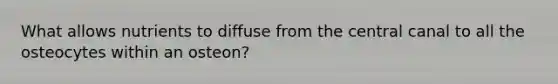 What allows nutrients to diffuse from the central canal to all the osteocytes within an osteon?