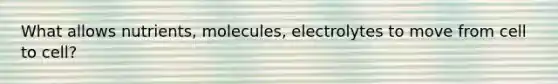 What allows nutrients, molecules, electrolytes to move from cell to cell?