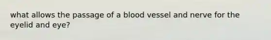 what allows the passage of a blood vessel and nerve for the eyelid and eye?