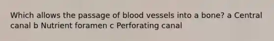 Which allows the passage of <a href='https://www.questionai.com/knowledge/kZJ3mNKN7P-blood-vessels' class='anchor-knowledge'>blood vessels</a> into a bone? a Central canal b Nutrient foramen c Perforating canal