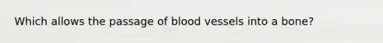 Which allows the passage of blood vessels into a bone?