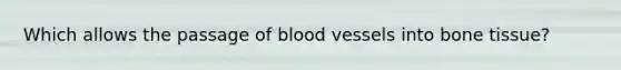 Which allows the passage of blood vessels into bone tissue?