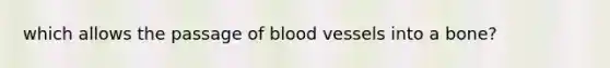 which allows the passage of blood vessels into a bone?