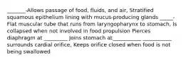 _______-Allows passage of food, fluids, and air, Stratified squamous epithelium lining with mucus-producing glands _____-Flat muscular tube that runs from laryngopharynx to stomach, Is collapsed when not involved in food propulsion Pierces diaphragm at _________ Joins stomach at___________ ___________ surrounds cardial orifice, Keeps orifice closed when food is not being swallowed