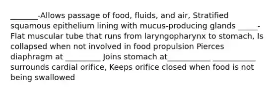 _______-Allows passage of food, fluids, and air, Stratified squamous epithelium lining with mucus-producing glands _____-Flat muscular tube that runs from laryngopharynx to stomach, Is collapsed when not involved in food propulsion Pierces diaphragm at _________ Joins stomach at___________ ___________ surrounds cardial orifice, Keeps orifice closed when food is not being swallowed