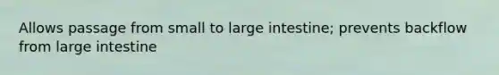 Allows passage from small to large intestine; prevents backflow from large intestine