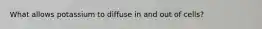 What allows potassium to diffuse in and out of cells?