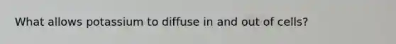 What allows potassium to diffuse in and out of cells?