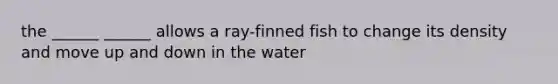 the ______ ______ allows a ray-finned fish to change its density and move up and down in the water