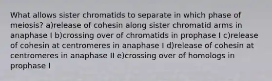 What allows sister chromatids to separate in which phase of meiosis? a)release of cohesin along sister chromatid arms in anaphase I b)crossing over of chromatids in prophase I c)release of cohesin at centromeres in anaphase I d)release of cohesin at centromeres in anaphase II e)crossing over of homologs in prophase I