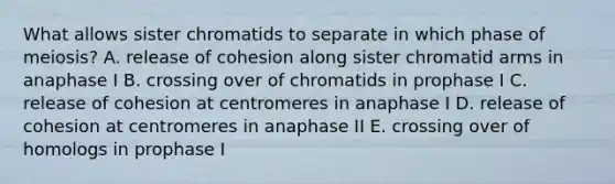 What allows sister chromatids to separate in which phase of meiosis? A. release of cohesion along sister chromatid arms in anaphase I B. crossing over of chromatids in prophase I C. release of cohesion at centromeres in anaphase I D. release of cohesion at centromeres in anaphase II E. crossing over of homologs in prophase I