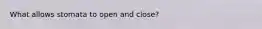 What allows stomata to open and close?