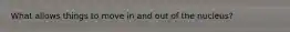 What allows things to move in and out of the nucleus?