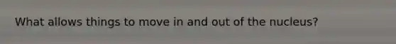 What allows things to move in and out of the nucleus?