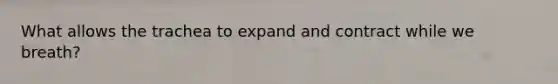 What allows the trachea to expand and contract while we breath?