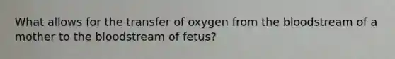 What allows for the transfer of oxygen from the bloodstream of a mother to the bloodstream of fetus?