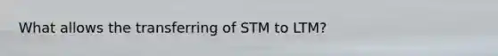 What allows the transferring of STM to LTM?