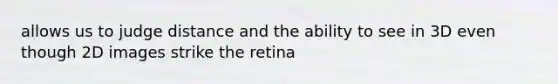 allows us to judge distance and the ability to see in 3D even though 2D images strike the retina