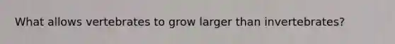 What allows vertebrates to grow larger than invertebrates?