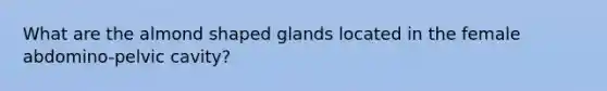 What are the almond shaped glands located in the female abdomino-pelvic cavity?