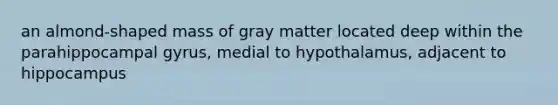 an almond-shaped mass of gray matter located deep within the parahippocampal gyrus, medial to hypothalamus, adjacent to hippocampus