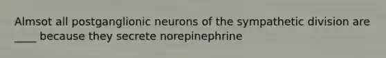 Almsot all postganglionic neurons of the sympathetic division are ____ because they secrete norepinephrine