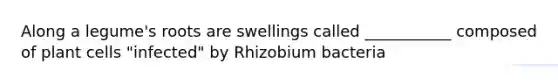 Along a legume's roots are swellings called ___________ composed of plant cells "infected" by Rhizobium bacteria