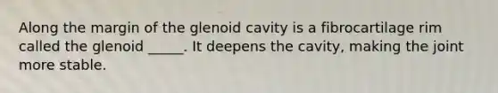 Along the margin of the glenoid cavity is a fibrocartilage rim called the glenoid _____. It deepens the cavity, making the joint more stable.