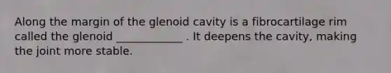 Along the margin of the glenoid cavity is a fibrocartilage rim called the glenoid ____________ . It deepens the cavity, making the joint more stable.