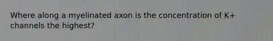 Where along a myelinated axon is the concentration of K+ channels the highest?