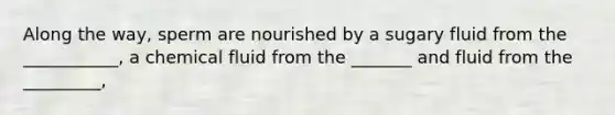 Along the way, sperm are nourished by a sugary fluid from the ___________, a chemical fluid from the _______ and fluid from the _________,