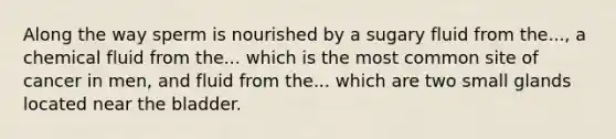 Along the way sperm is nourished by a sugary fluid from the..., a chemical fluid from the... which is the most common site of cancer in men, and fluid from the... which are two small glands located near the bladder.