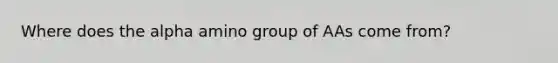 Where does the alpha amino group of AAs come from?