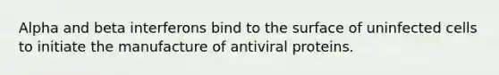 Alpha and beta interferons bind to the surface of uninfected cells to initiate the manufacture of antiviral proteins.