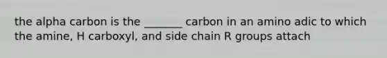 the alpha carbon is the _______ carbon in an amino adic to which the amine, H carboxyl, and side chain R groups attach