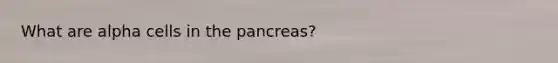 What are alpha cells in the pancreas?