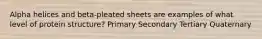 Alpha helices and beta-pleated sheets are examples of what level of protein structure? Primary Secondary Tertiary Quaternary