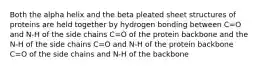 Both the alpha helix and the beta pleated sheet structures of proteins are held together by hydrogen bonding between C=O and N-H of the side chains C=O of the protein backbone and the N-H of the side chains C=O and N-H of the protein backbone C=O of the side chains and N-H of the backbone