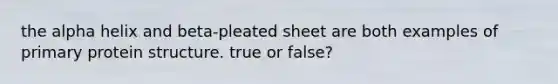 the alpha helix and beta-pleated sheet are both examples of primary protein structure. true or false?