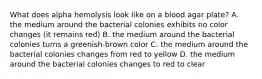 What does alpha hemolysis look like on a blood agar plate? A. the medium around the bacterial colonies exhibits no color changes (it remains red) B. the medium around the bacterial colonies turns a greenish-brown color C. the medium around the bacterial colonies changes from red to yellow D. the medium around the bacterial colonies changes to red to clear