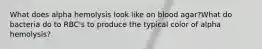 What does alpha hemolysis look like on blood agar?What do bacteria do to RBC's to produce the typical color of alpha hemolysis?
