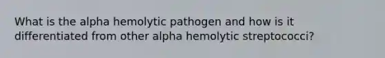 What is the alpha hemolytic pathogen and how is it differentiated from other alpha hemolytic streptococci?